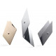 Ноутбук APPLE A1534 MacBook Retina 12 (Z0RX0002N) 2015 Gold Ноутбук APPLE A1534 MacBook Retina 12 (Z0RX0002N) 2015 Gold