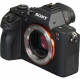 Фотоаппарат SONY Alpha a7S II body (ILCE7SM2B.CEC) Фотоаппарат SONY Alpha a7S II body (ILCE7SM2B.CEC)