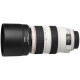 Lens Canon EF 70-300 mm f/4-5.6L IS USM (4426B005) Lens Canon EF 70-300 mm f/4-5.6L IS USM (4426B005)