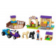 Конструктор LEGO Friends Конюшня для жеребенка Мии (41361) Конструктор LEGO Friends Конюшня для жеребенка Мии (41361)