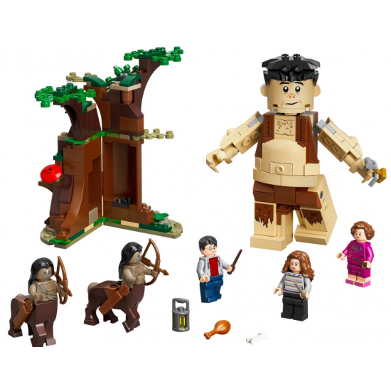 Конструктор LEGO Harry Potter Запретный лес: Встреча Амбридж (75967) Конструктор LEGO Harry Potter Запретный лес: Встреча Амбридж (75967)
