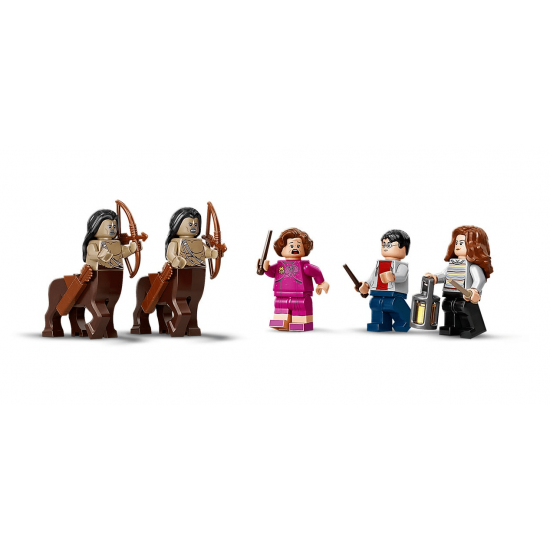 Конструктор LEGO Harry Potter Запретный лес: Встреча Амбридж (75967) Конструктор LEGO Harry Potter Запретный лес: Встреча Амбридж (75967)