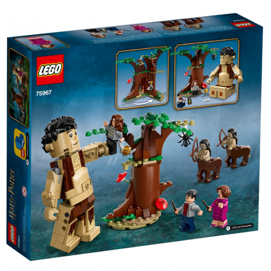 Конструктор LEGO Harry Potter Запретный лес: Встреча Амбридж (75967) Конструктор LEGO Harry Potter Запретный лес: Встреча Амбридж (75967)