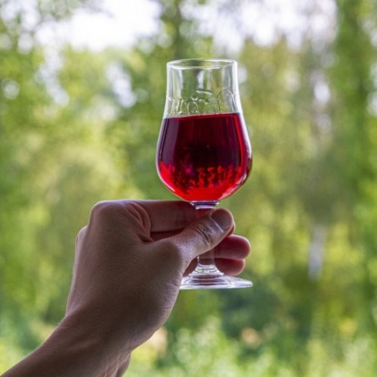 Klarowin 2 - professional set for clarification of red and rosé wines BROWIN Klarowin 2 - professional set for clarification of red and rosé wines BROWIN