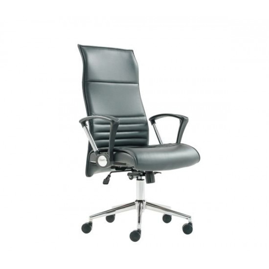 Крісло для керівника Flex Executive (FLX10/EXECUTIVE) Крісло для керівника Flex Executive (FLX10/EXECUTIVE)