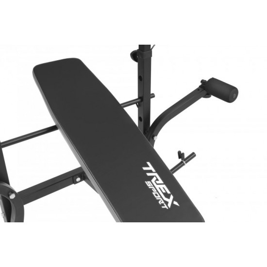 Скамья тренировочная Trex Sport TX-020 + парта Скотта + верхняя тяга Скамья тренировочная Trex Sport TX-020 + парта Скотта + верхняя тяга