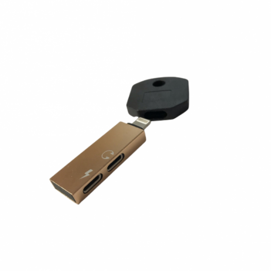 Stylish OTG adapter for Apple iPhone with Lightning + Lightning connectors, key-shaped, gold Stylish OTG adapter for Apple iPhone with Lightning + Lightning connectors, key-shaped, gold