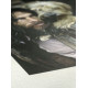 Photo paper Hahnemuhle Agave 290 g/m?, matte, A3+, 25 sheets Photo paper Hahnemuhle Agave 290 g/m?, matte, A3+, 25 sheets