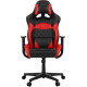 Кресло Gamdias Zelus E1 Gaming Chair Black-Red (4712960133709) Кресло Gamdias Zelus E1 Gaming Chair Black-Red (4712960133709)