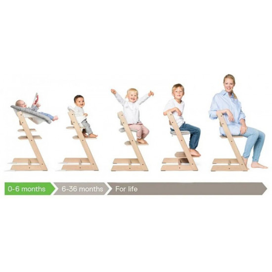 Стілець Stokke Tripp Trapp Whitewash (100105) (7040351001052) Стілець Stokke Tripp Trapp Whitewash (100105) (7040351001052)