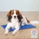 Коврик для собак и кошек Trixie охлаждающий 65х50 см Голубой (4011905286846) Коврик для собак и кошек Trixie охлаждающий 65х50 см Голубой (4011905286846)