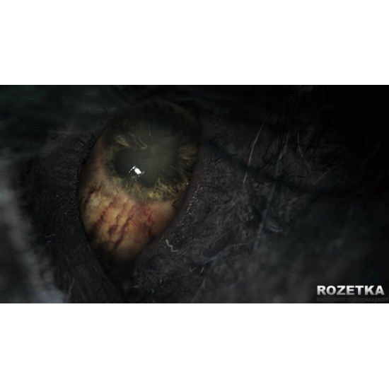 Ігра Bloodborne для PS4 (Blu-ray диск, Російський subtitles) Ігра Bloodborne для PS4 (Blu-ray диск, Російський subtitles)