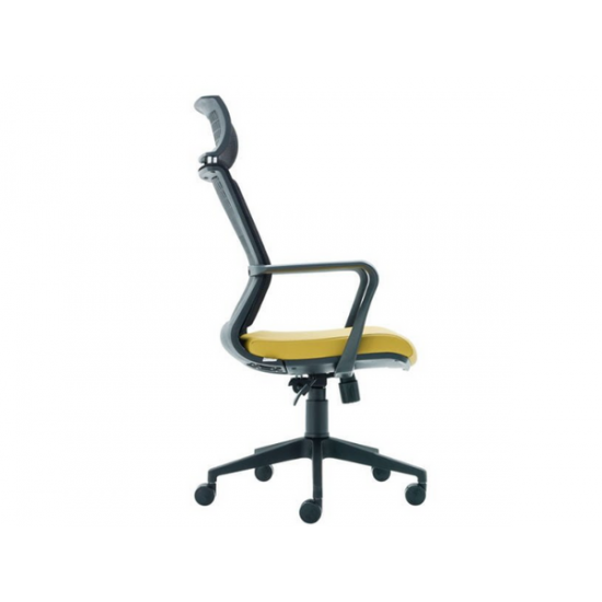 Крісло для керівника Vegas - Plastic legs Executive (VGA10/EXECUTIVE) Крісло для керівника Vegas - Plastic legs Executive (VGA10/EXECUTIVE)