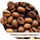 Coffee beans Rio Negro Professional Arabica Ethiopia Jimma 6 kg (4820159999705) Coffee beans Rio Negro Professional Arabica Ethiopia Jimma 6 kg (4820159999705)