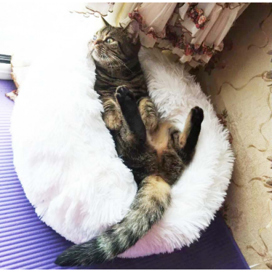 Round Plush Cat Bed House Soft Long Plush Best Pet Dog Bed For Dogs Products Nest Winter Warm Sleeping Cat Pet Bed Mat Cat House Round Plush Cat Bed House Soft Long Plush Best Pet Dog Bed For Dogs Products Nest Winter Warm Sleeping Cat Pet Bed Mat Cat House