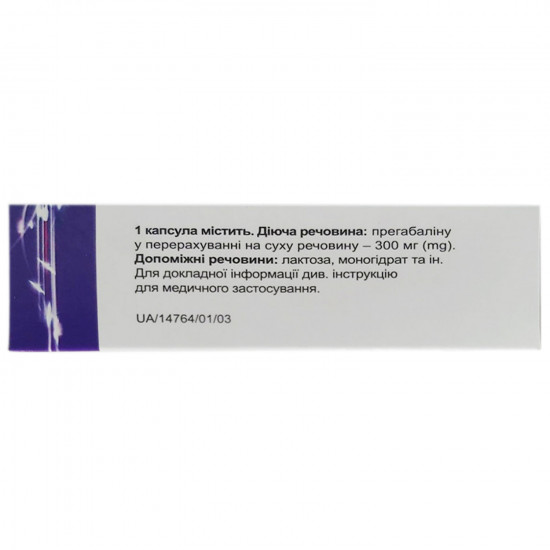 Габана капс. 300мг №20 Габана капс. 300мг №20
