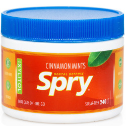 Драже SPRY (Спрай) натуральне з корицею та ксилітом упаковка 240 шт