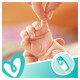 Детские влажные салфетки Pampers Sensitive, 80 шт
Детские влажные салфетки Pampers Sensitive, 80 шт