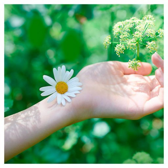 Гигиенические прокладки для критических дней Naturella Ultra Calendula Normal, 10 шт
Гигиенические прокладки для критических дней Naturella Ultra Calendula Normal, 10 шт