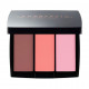 Palette of blush for the person Anastasia Beverly Hills Blush Trio Cocktail Party, 9 g Palette of blush for the person Anastasia Beverly Hills Blush Trio Cocktail Party, 9 g