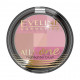 Blush for the person Eveline All In One Highlighter Blush 02, 6.5 g Blush for the person Eveline All In One Highlighter Blush 02, 6.5 g