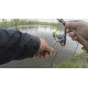 Блешня Jackall Tearo 0.7g 85 Блешня Jackall Tearo 0.7g 85