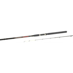 Фідер Mikado Shinju Feeder 3.00м 100гр (WAA784-300)