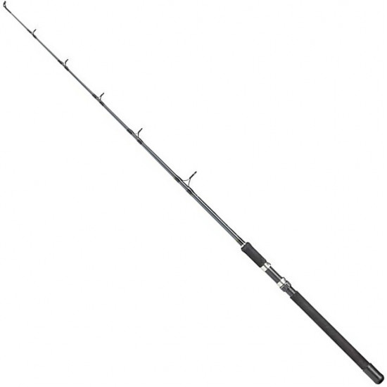 Лодкове вудилище DAM Camaro Trolling 1.60м 30Lb (55914) Лодкове вудилище DAM Camaro Trolling 1.60м 30Lb (55914)
