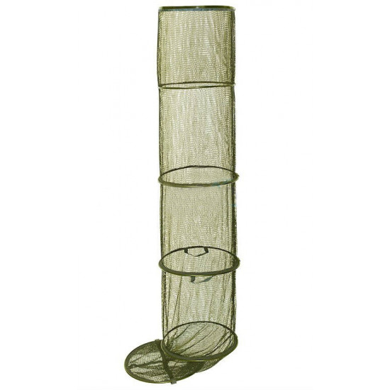 Round Zadok Golden Catch QCOPW0-50002006 Round Zadok Golden Catch QCOPW0-50002006