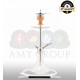 Кальян Amy Deluxe SS 13 Little Stick (Емі Делюкс сс 13 літл стик) Кальян Amy Deluxe SS 13 Little Stick (Емі Делюкс сс 13 літл стик)