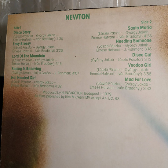 NEWTON LP NEWTON LP