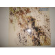 MIKE RUTHEEFORD- Smallcreeps Day 1980 UK Prog Rock MIKE RUTHEEFORD- Smallcreeps Day 1980 UK Prog Rock