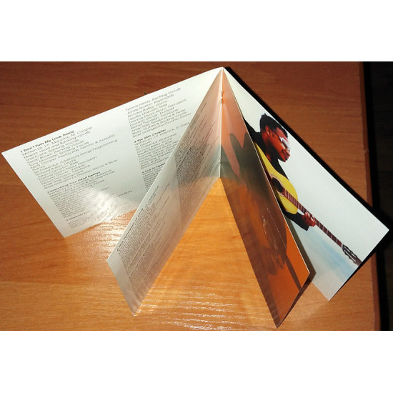 Incognito – Adventures in black sunshine (2004)(book) Incognito – Adventures in black sunshine (2004)(book)