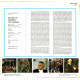 Johann Sebastian Bach – Drei Flötensonaten Johann Sebastian Bach – Drei Flötensonaten