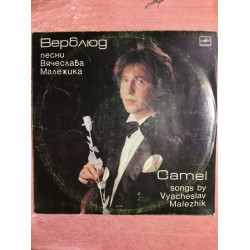 Верблюд - пісні В'ячеслава Малежика Мелодія 1988