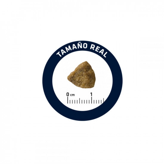 Advance Cat Hairball Turkey & Rice Корм для кошек не покидающих помещение с индейкой и рисом Advance Cat Hairball Turkey & Rice Корм для кошек не покидающих помещение с индейкой и рисом