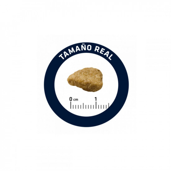 Advance Sterilized Salmon Sensitive Castrated / Sterilized Salmon & Barley Dry Food Advance Sterilized Salmon Sensitive Castrated / Sterilized Salmon & Barley Dry Food