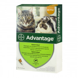Advantage (Адвантейж) Краплі на холку від бліх (до 4 кг)
