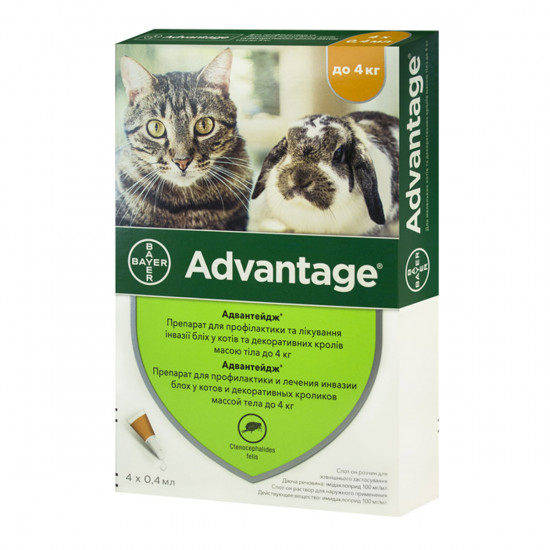 Advantage (Адвантейж) Краплі на холку від бліх (до 4 кг) Advantage (Адвантейж) Краплі на холку від бліх (до 4 кг)