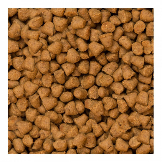 Oven-Baked Tradition Puppy Small Breed Chicken Dry food for small breed puppies with chicken Oven-Baked Tradition Puppy Small Breed Chicken Dry food for small breed puppies with chicken
