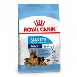 Royal Canin Maxi Starter Сухий корм для вагітних, годуючих сук та цуценят великих порід